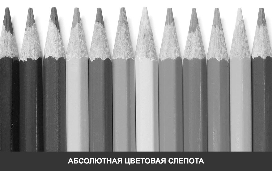 Каким видят мир дальтоники Каким видят мир дальтоники
