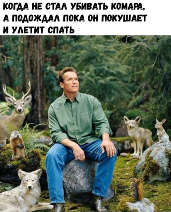 Прикольные картинки