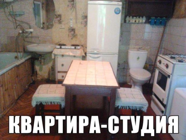 Прикольные картинки
