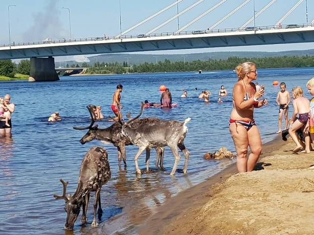 Прикольные картинки