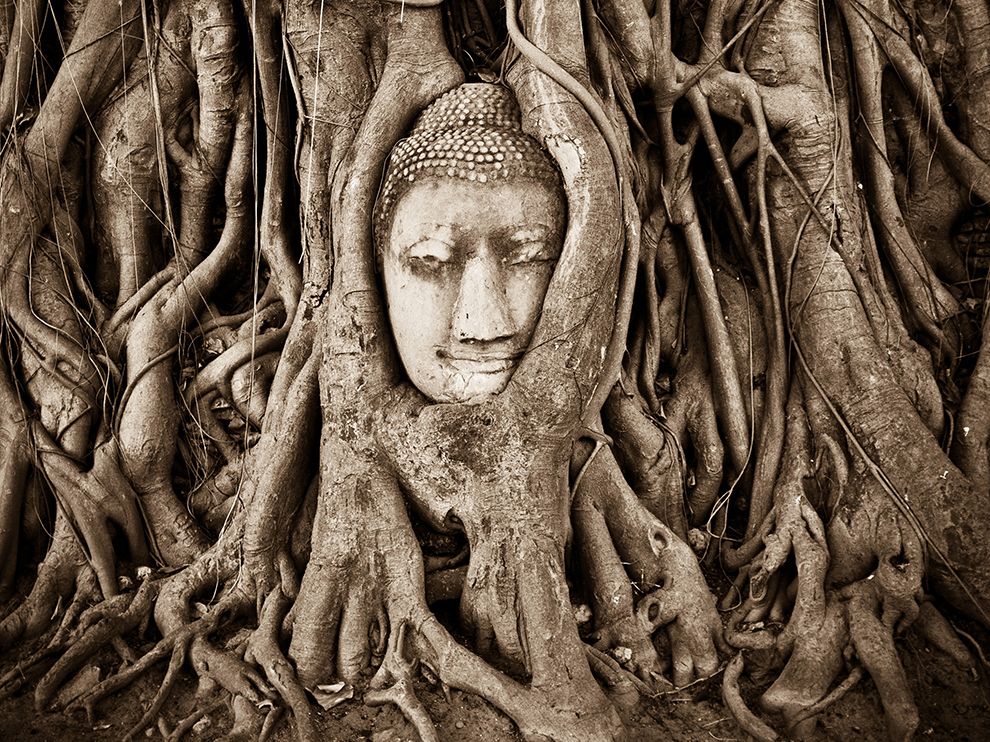 National Geographic: лучшие фотографии августа National Geographic: лучшие фотографии августа