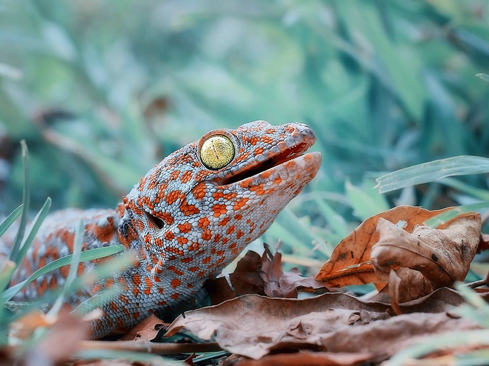 National Geographic: лучшие фотографии августа National Geographic: лучшие фотографии августа