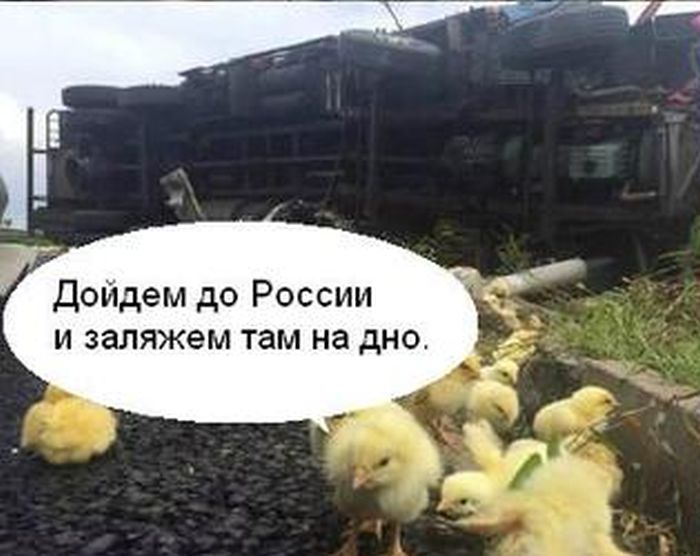 Порция картинок