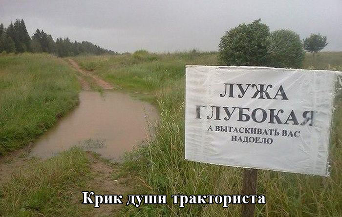 Порция картинок