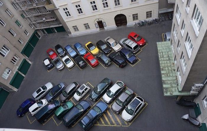 Порция картинок