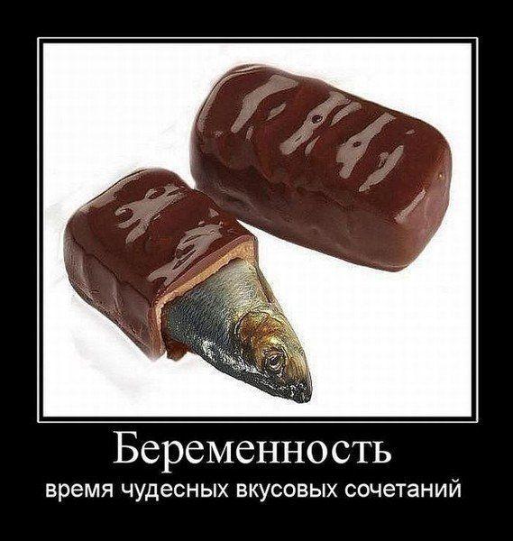 Демотиваторы (30 фото)