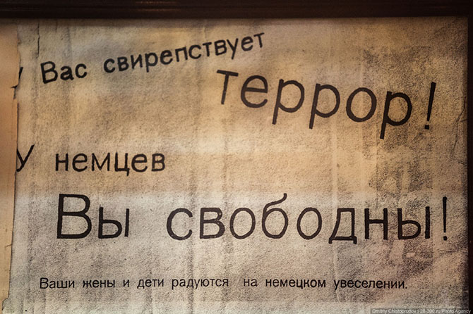 Поисковые работы останков советских солдат
