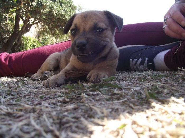 Прикольные картинки