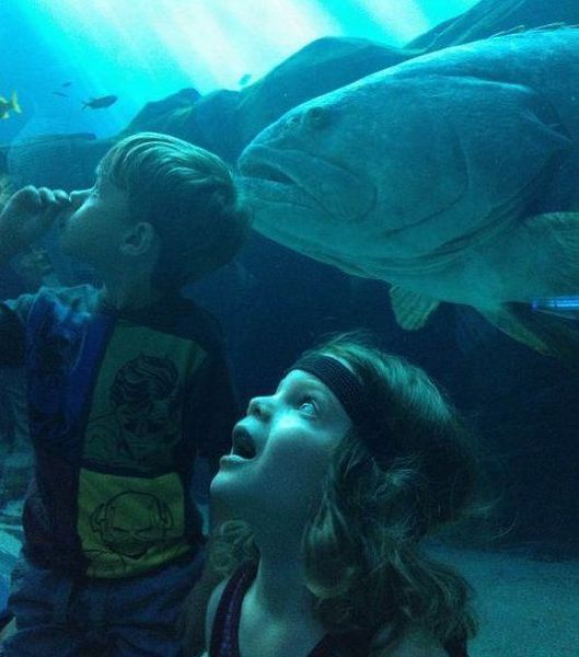 Прикольные картинки