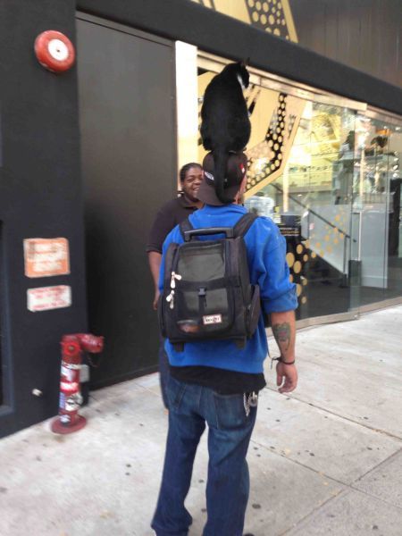 Прикольные картинки