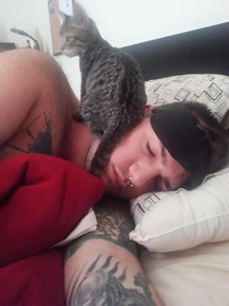 Прикольные картинки