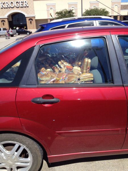 Прикольные картинки