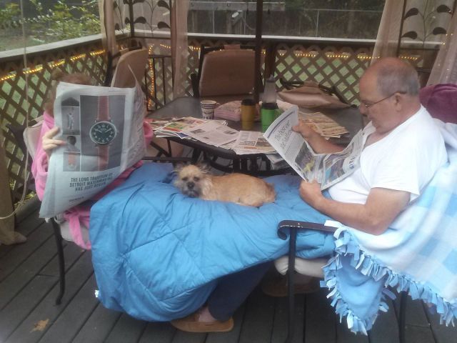 Прикольные картинки