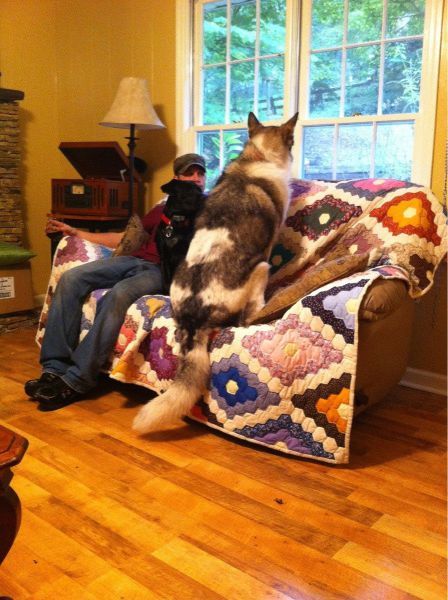 Прикольные картинки