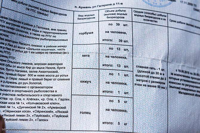 Не совсем легальное производство красной икры Не совсем легальное производство красной икры