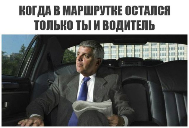 Прикольные картинки