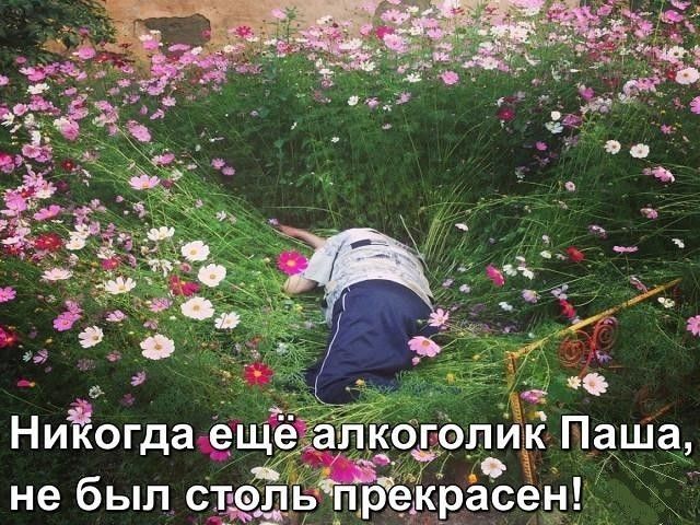 Прикольные картинки