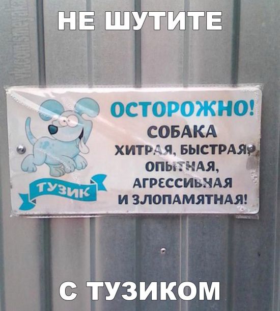 Прикольные картинки
