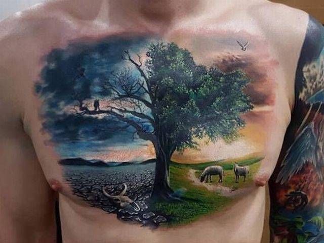 Прикольные картинки