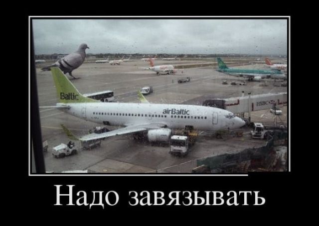 Демотиваторы