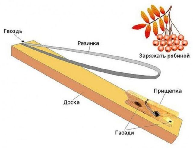 Необычные игрушки нашего детства