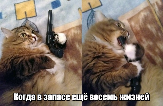 Прикольные картинки