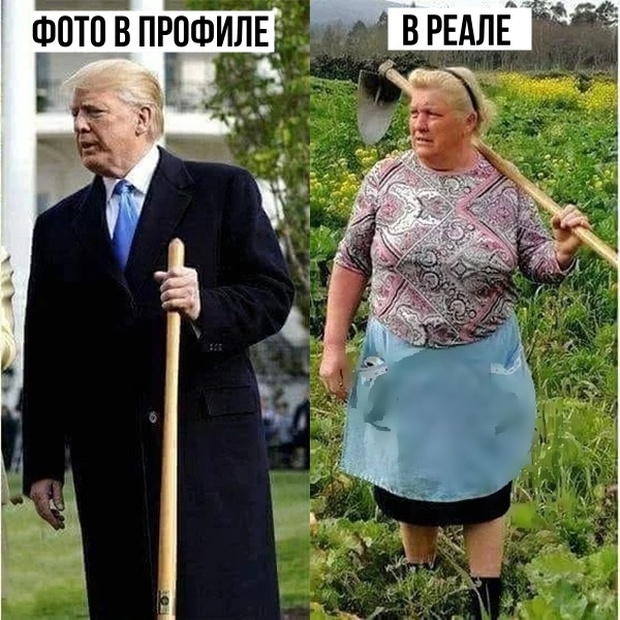Прикольные картинки