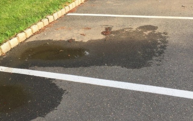 Вещи, которые с легкостью вводят в заблуждение