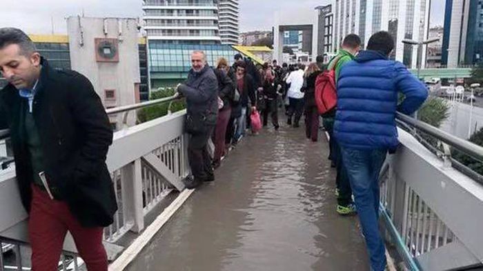 Порция картинок