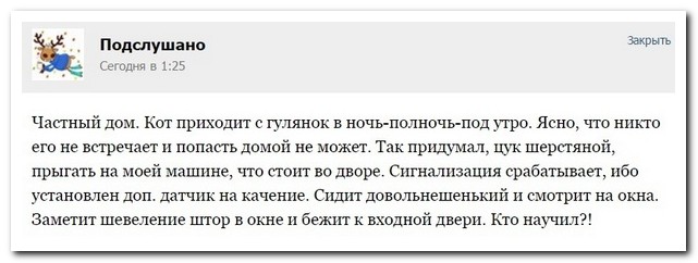 Смешные комментарии из социальных сетей