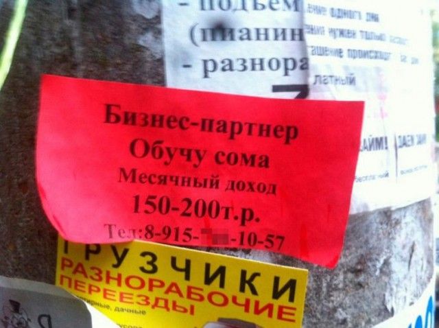 Ошибки в вывесках и объявлениях