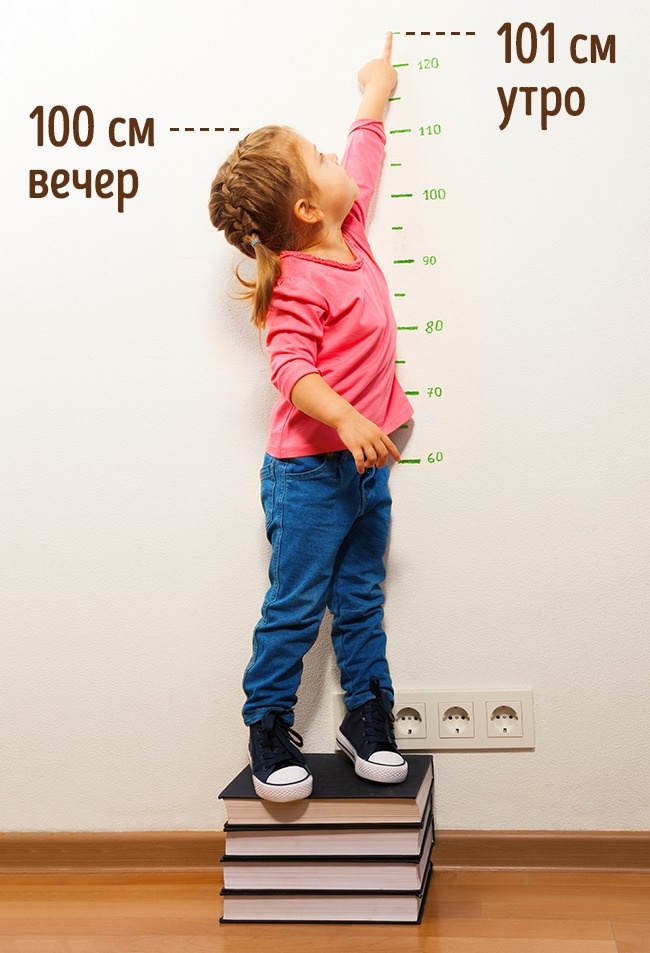 18 безумных фактов, которые взорвут мозг 18 безумных фактов, которые взорвут мозг