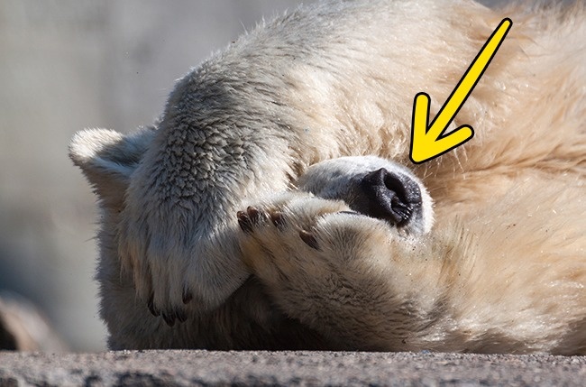 18 безумных фактов, которые взорвут мозг 18 безумных фактов, которые взорвут мозг