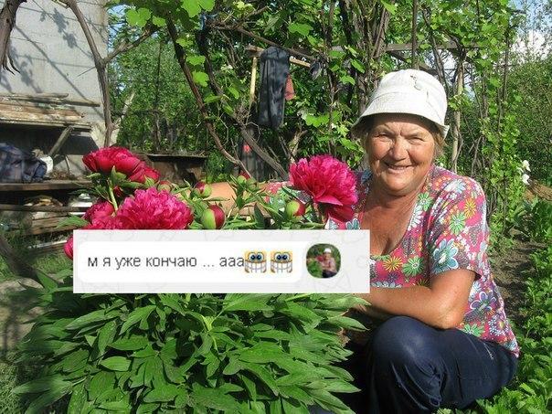 Вестник социальных сетей