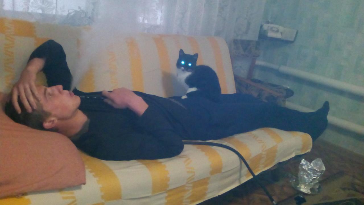 Вестник социальных сетей