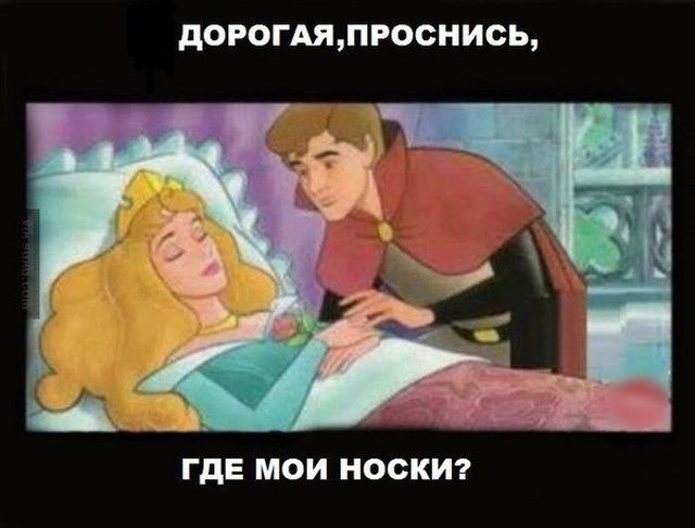 Прикольные картинки