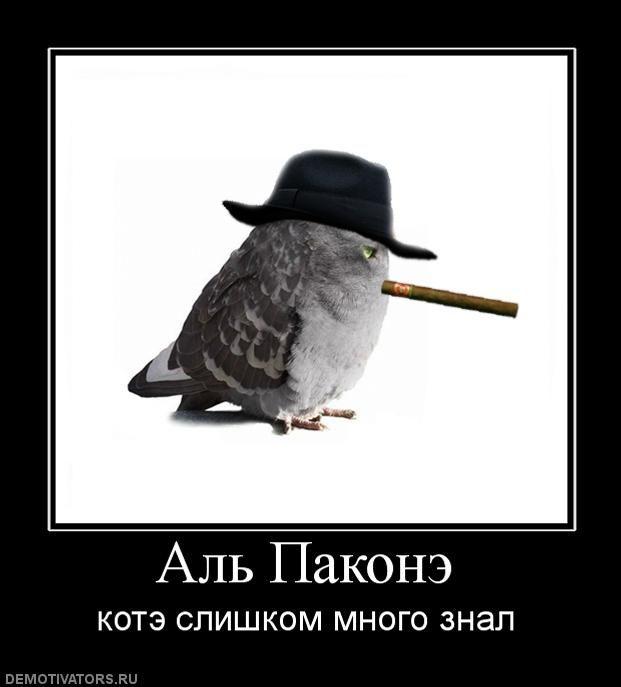 Демотиваторы