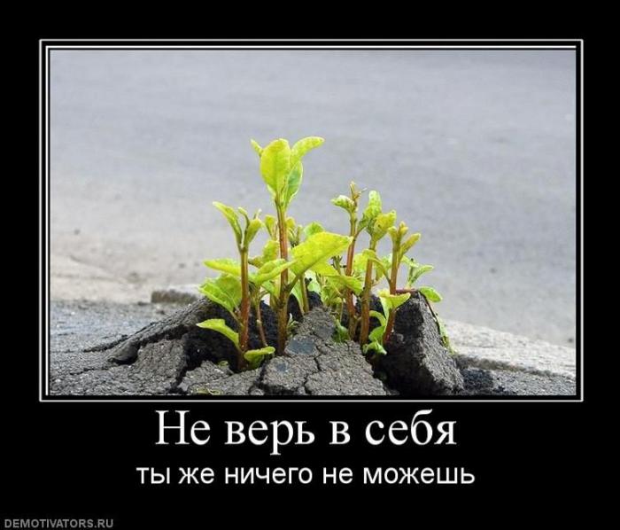 Демотиваторы
