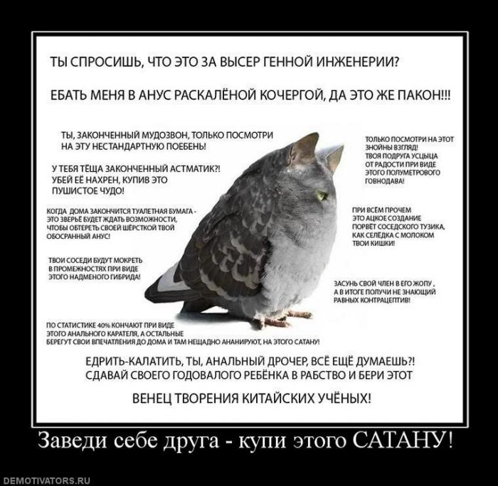 Демотиваторы