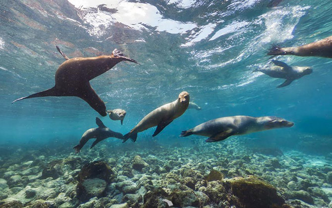 10 лучших мест для изучения c помощью Google’s Street View