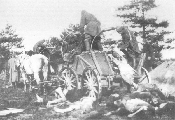 Советские пленные 1941 г.