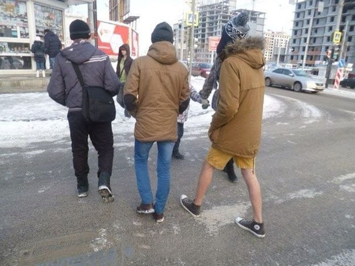 Прикольные картинки (82 фото)