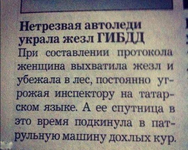 Прикольные картинки (82 фото)