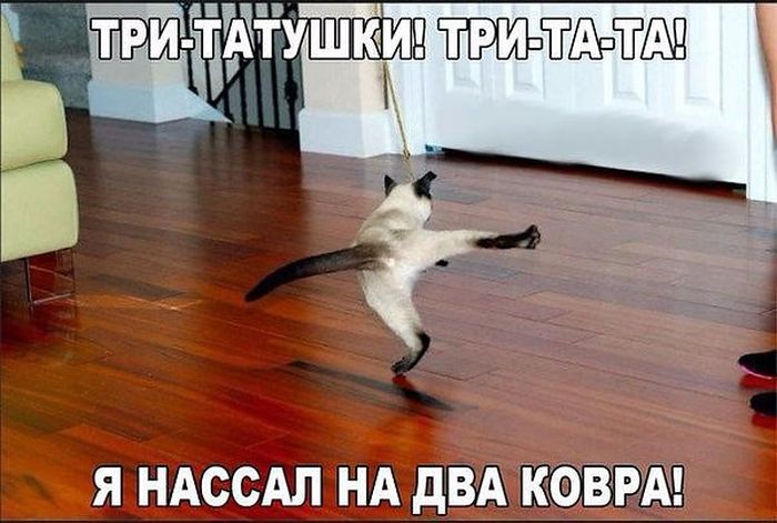 Порция картинок