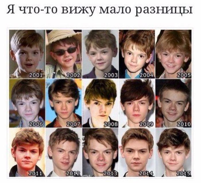 Порция картинок