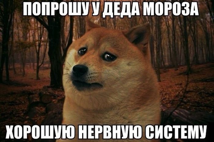Порция картинок
