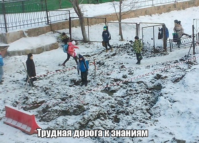 Порция картинок