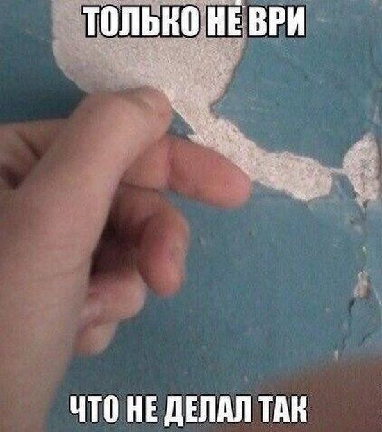 Порция картинок