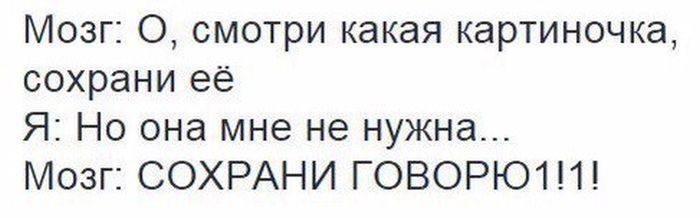 Порция картинок