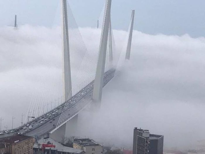 Фотографии, которые не нуждаются в комментариях